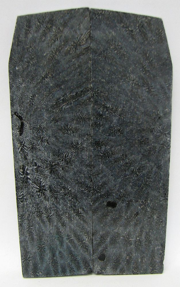FOSSIL CORAL SCALES 4-3/8 x 1-1/8 to 1-3/16 x 3/16