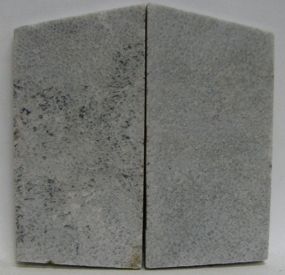FOSSIL CORAL SCALES 2-9/16 x 1-3/8 x 1/8