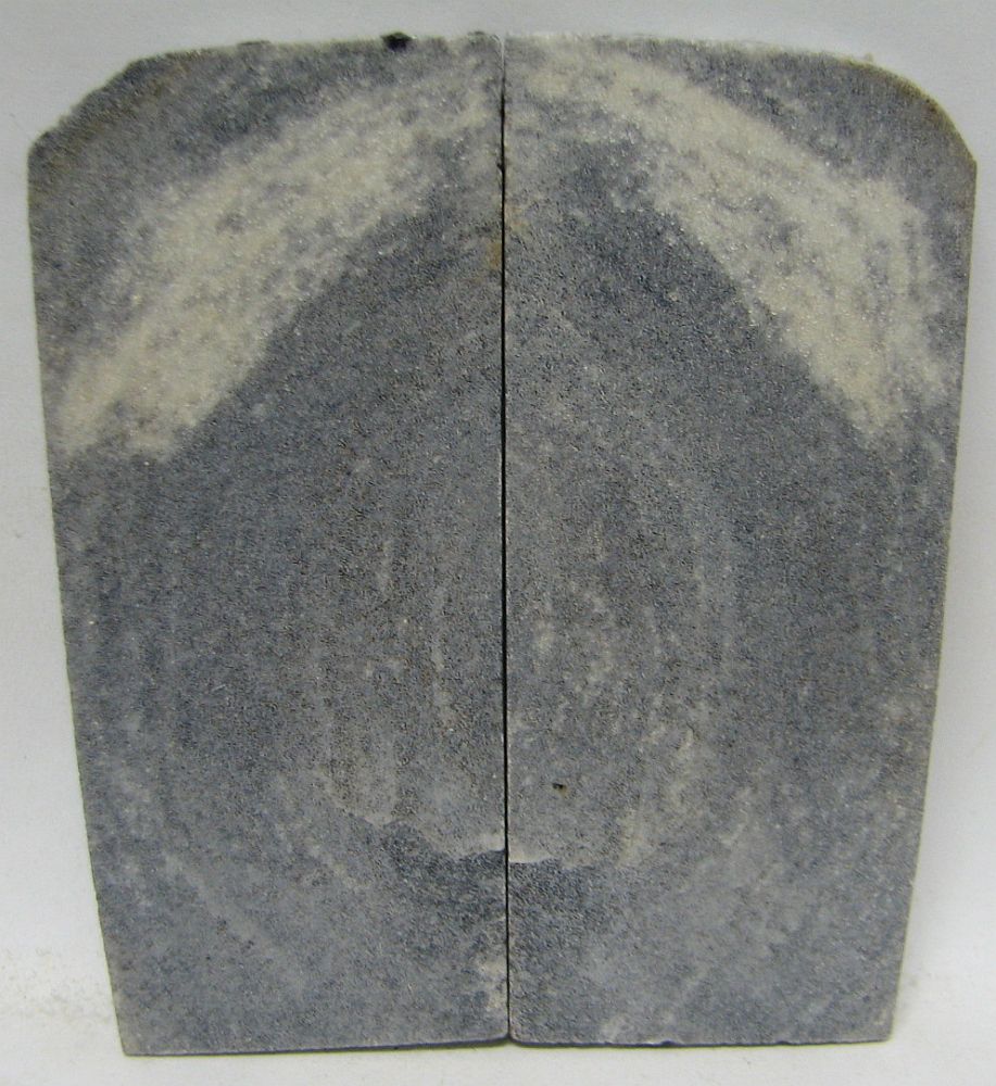 FOSSIL CORAL SCALES 3-1/4 x 1-3/8 x 1/16