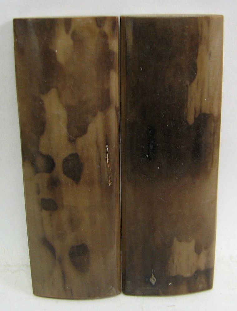 MAMMOTH IVORY SCALES 2-11/16 x 7/8 x 1/8