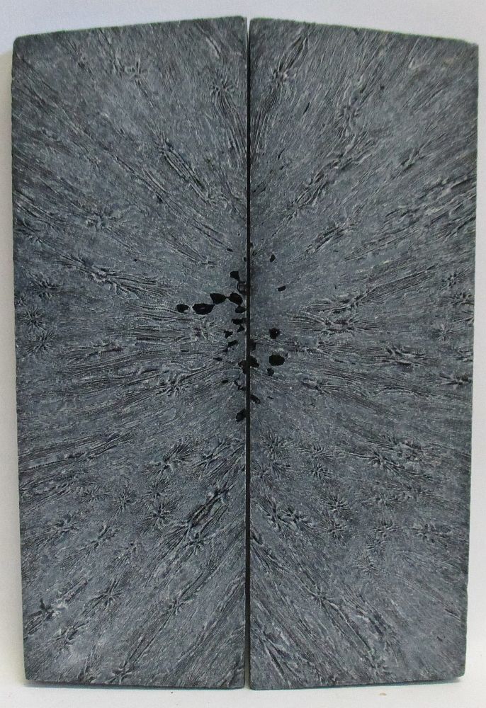 FOSSIL CORAL SCALES 4-5/8 x 1-9/16 x 3/16