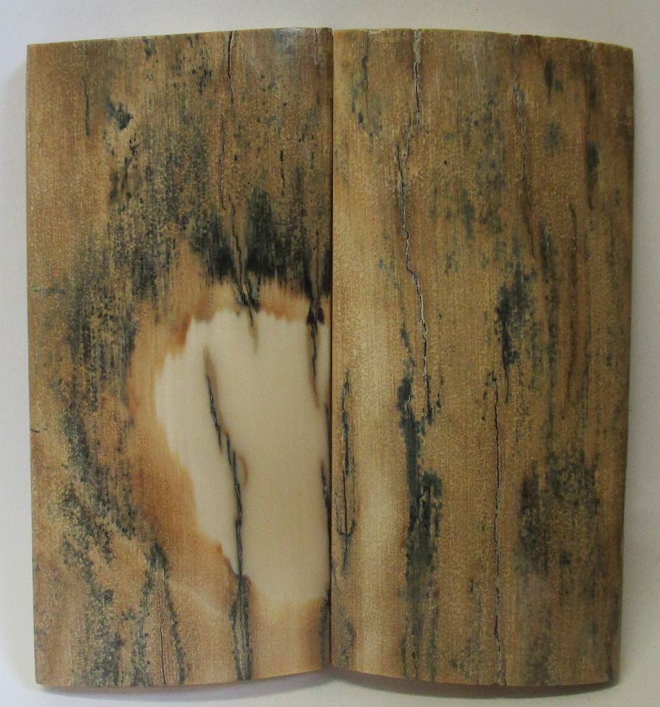 MAMMOTH IVORY SCALES 2-3/4 x 1-5/16 x 5/32