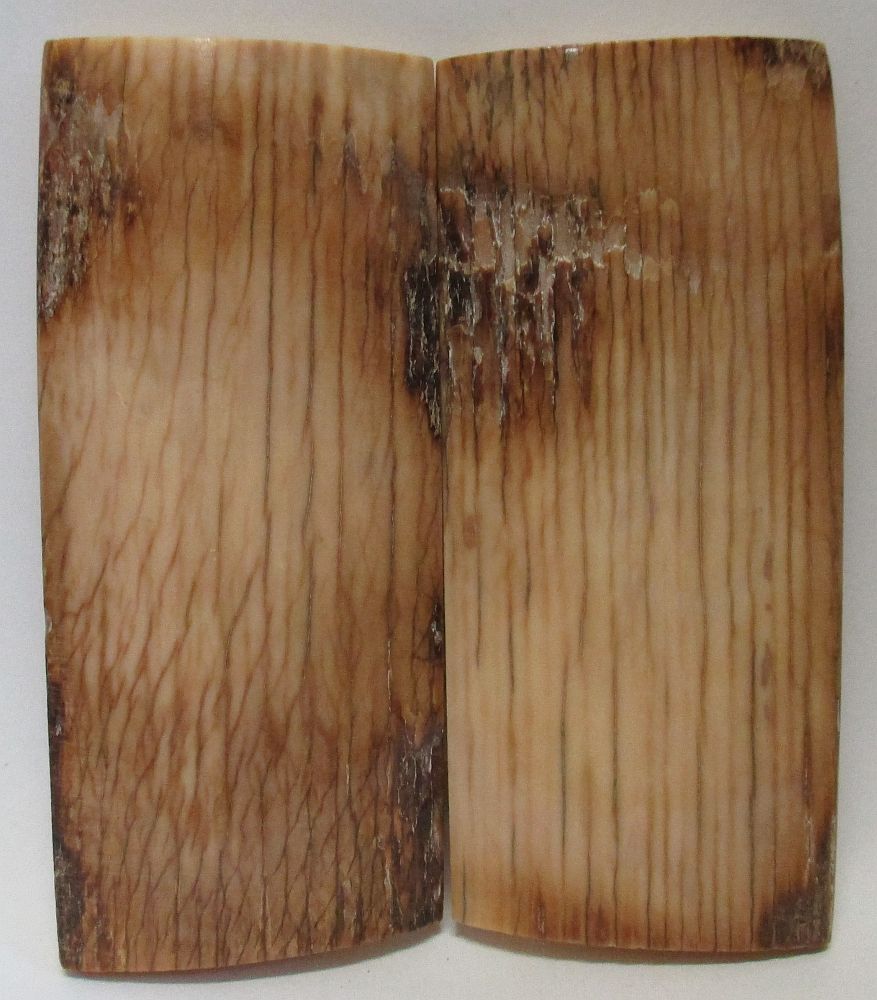 MAMMOTH IVORY SCALES 2-3/4 x 1-1/4 x 3/16