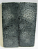FOSSIL CORAL SCALES 3-15/16 x 1-3/8 x 1/8