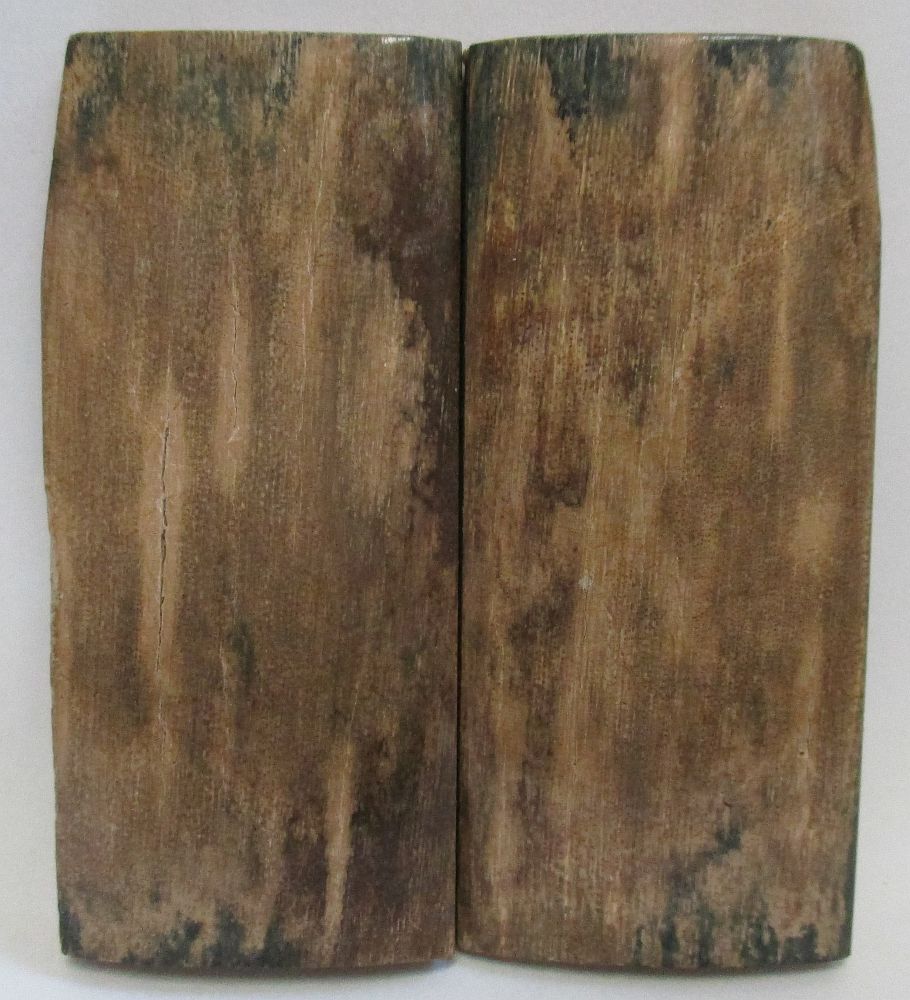 MAMMOTH IVORY SCALES 2-1/2 x 1-1/8 x 1/8