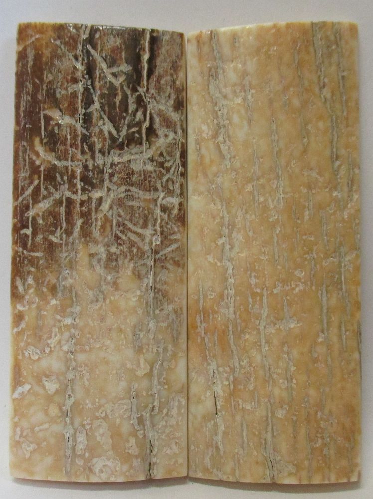 MAMMOTH IVORY SCALES 2-3/4 x 1-1/16 x 5/32