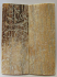 MAMMOTH IVORY SCALES 2-3/4 x 1-1/16 x 5/32