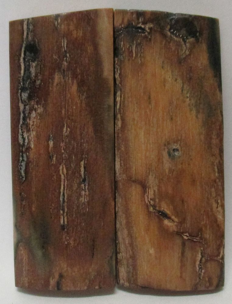 MAMMOTH IVORY SCALES 2-1/8 x 7/8 x 1/8