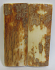 MAMMOTH IVORY SCALES 2-5/16 x 7/8 x 1/8