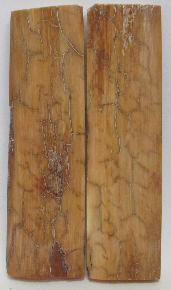 MAMMOTH IVORY SCALES 2-13/16 x 3/4 x 1/8