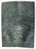 FOSSIL CORAL SCALES 4-5/8 x 1-5/8 x 5/32