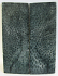 FOSSIL CORAL SCALES 4-5/8 x 1-11/16 x 5/32 
