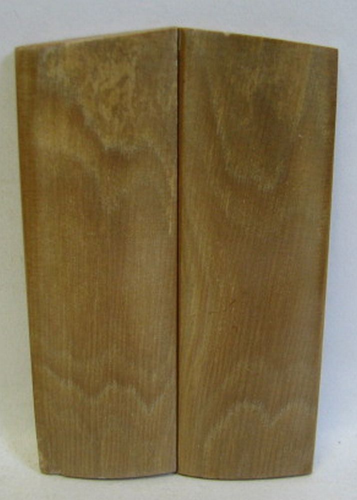 MAMMOTH IVORY SCALES 2-9/16 x 13/16 x 1/16