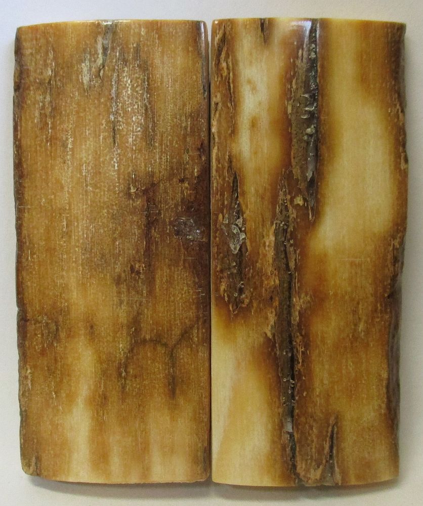 MAMMOTH IVORY SCALES 2-3/8 x 1 x 5/32