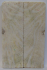 FOSSIL CORAL SCALES 5-1/8 x 1-5/8 x 1/4 