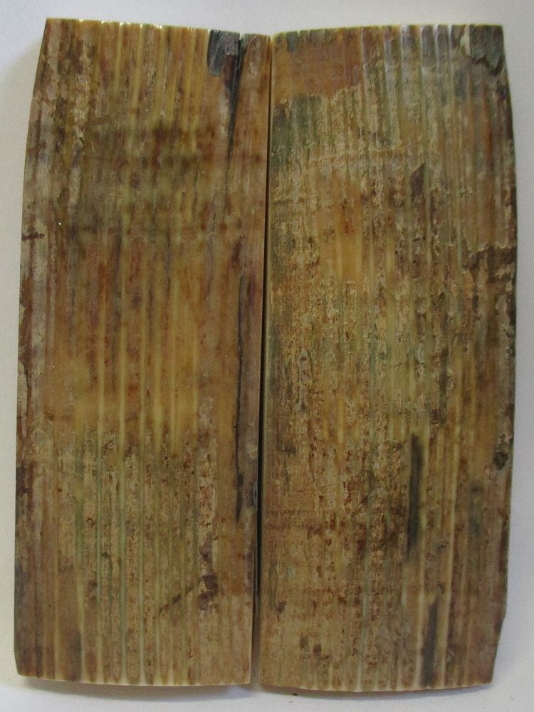 MAMMOTH IVORY SCALES 2-7/8 x 1 x 3/16