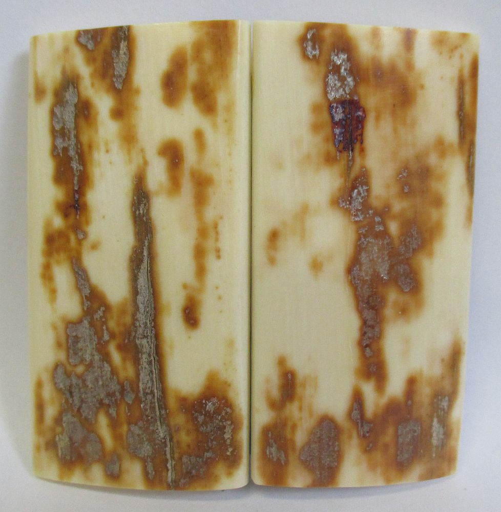 MAMMOTH IVORY SCALES 2-3/8 x 1-3/16 x 1/16
