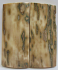MAMMOTH IVORY SCALES 2-9/16 x 1-1/16 x 1/4
