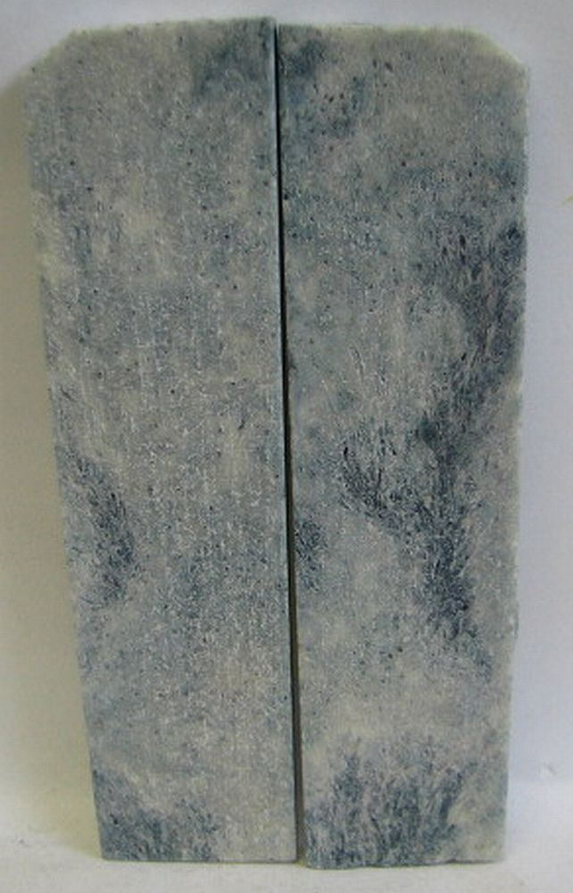 FOSSIL CORAL SCALES 5 x 1-1/4 x 3/16