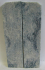 FOSSIL CORAL SCALES 5 x 1-1/4 x 3/16