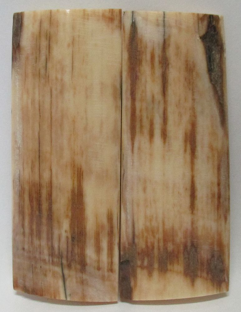 MAMMOTH IVORY SCALES 2-11/16 x 1 x 5/32