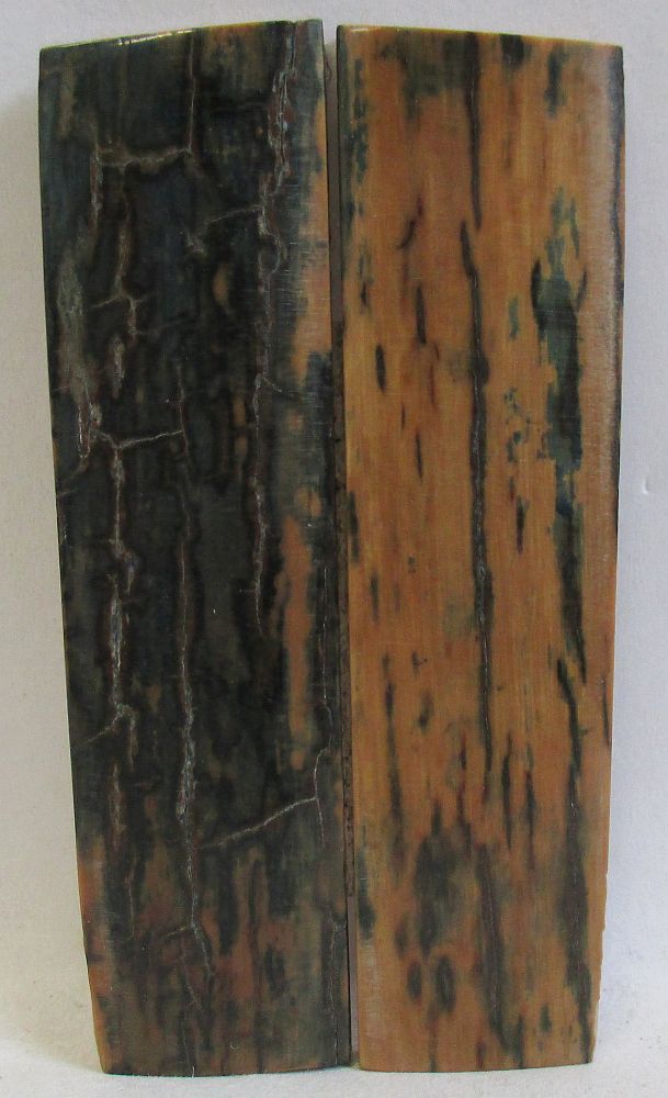 MAMMOTH IVORY SCALES 2-7/16 x 5/8 x 1/8