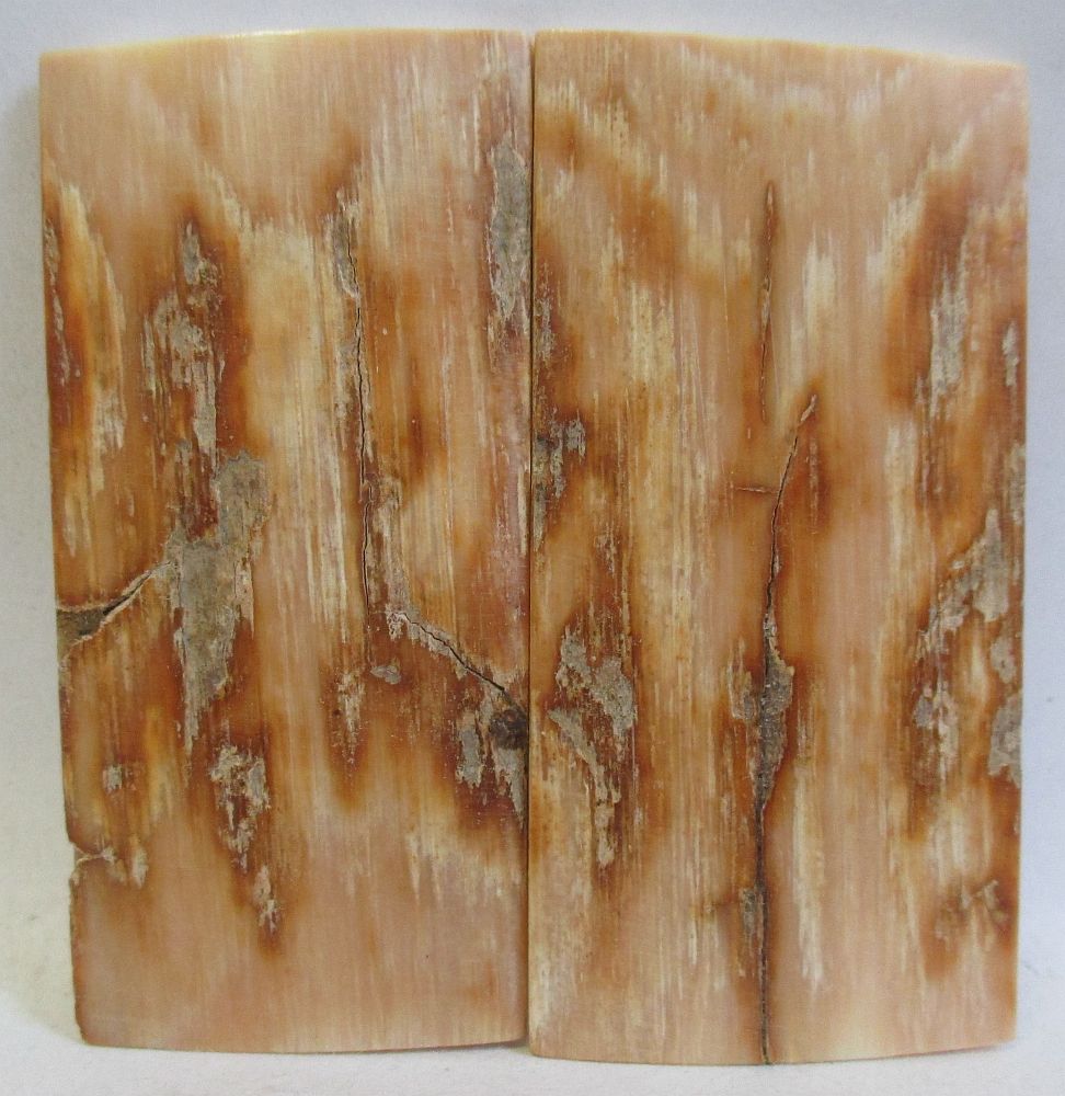 MAMMOTH IVORY SCALES 2-1/4 x 1-1/16 x 1/16