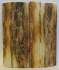 MAMMOTH IVORY SCALES 2-5/16 x 1 x 1/8