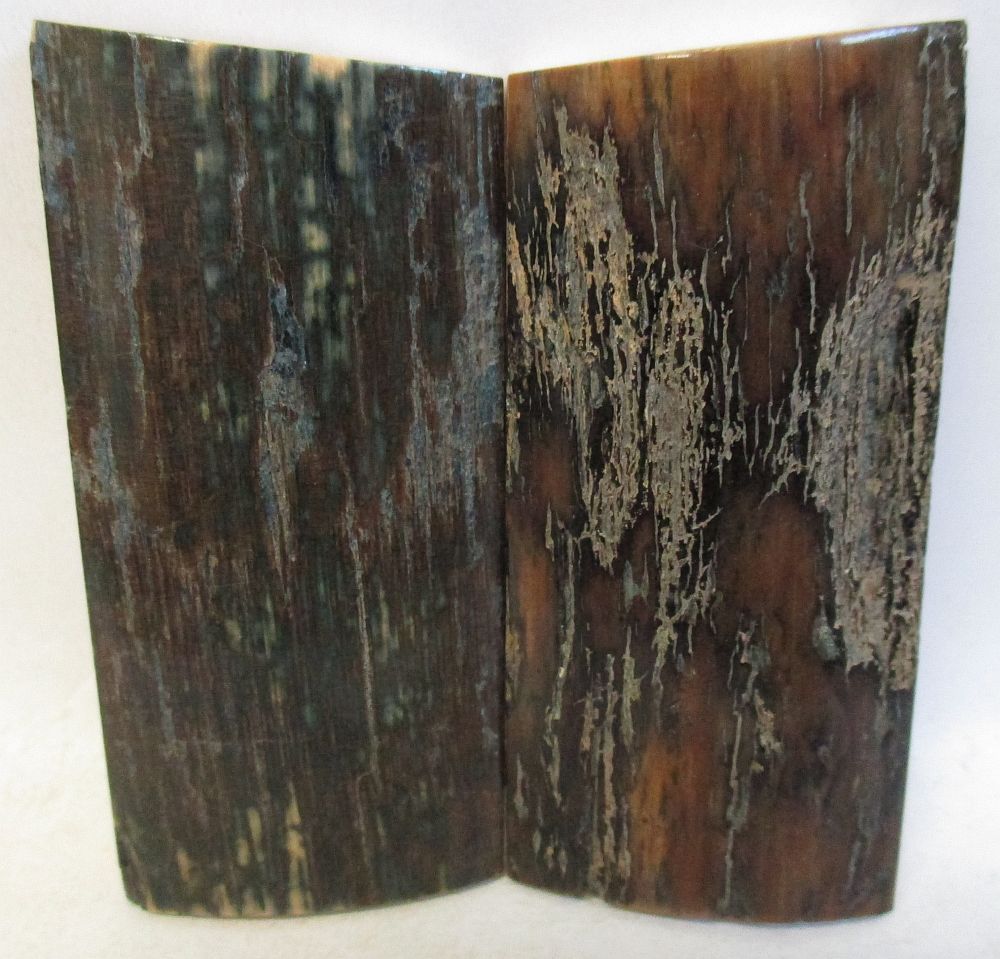 MAMMOTH IVORY SCALES 2-3/8 x 1-1/8 to 5/32