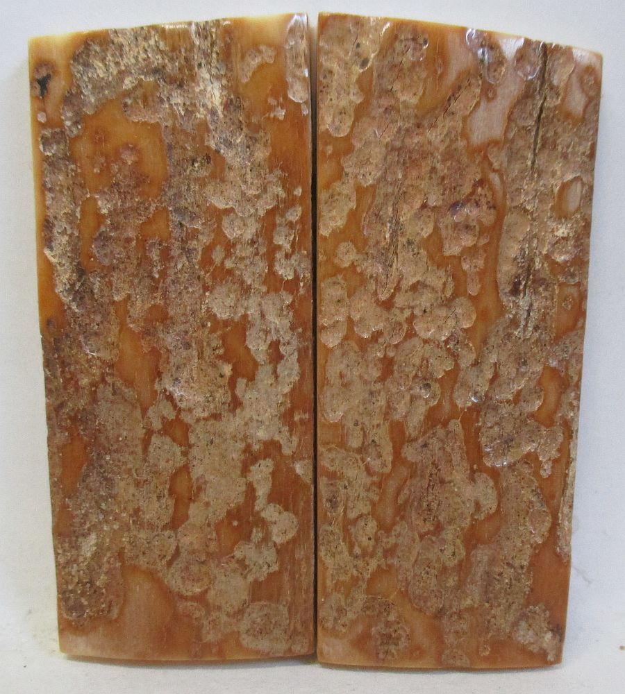 MAMMOTH IVORY SCALES 2-1/4 x 15/16 to 1 x 1/8