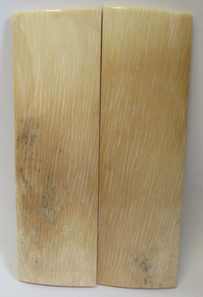 INTERIOR IVORY    2-7/8 x 7/8 x 1/16