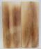 MAMMOTH IVORY SCALES 2-1/2 x 1 x 1/8