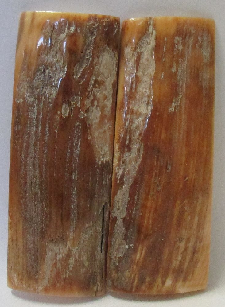 MAMMOTH IVORY SCALES 2-5/8 x 15/16 x 1/8