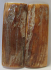 MAMMOTH IVORY SCALES 2-5/8 x 15/16 x 1/8