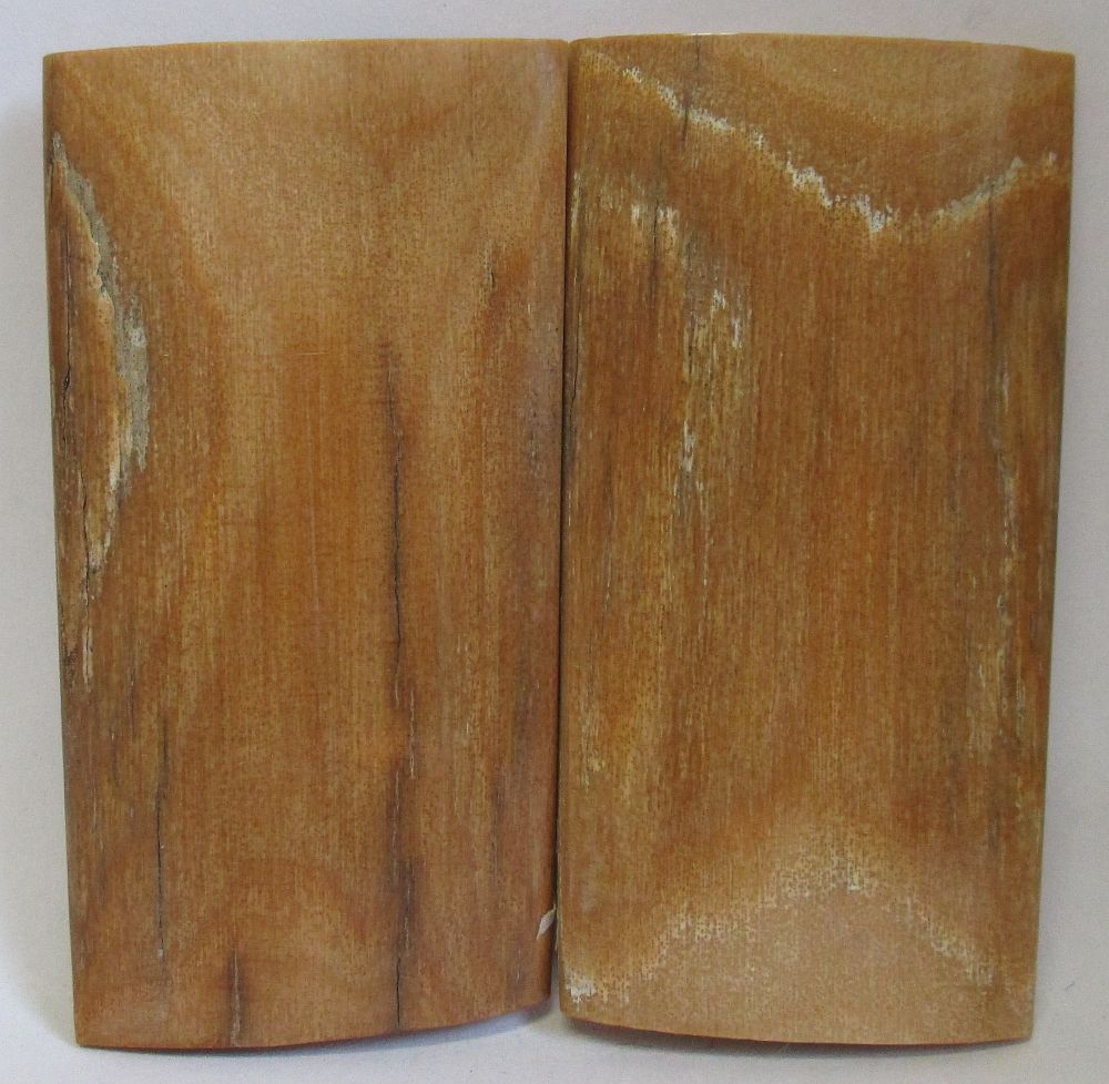 MAMMOTH IVORY SCALES     2-5/8 x 1-5/16 x 1/8