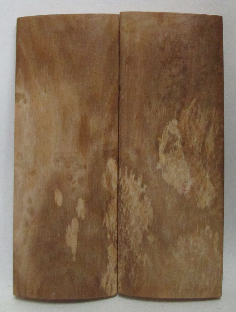 MAMMOTH IVORY SCALES     2-3/8 x 7/8 x 1/8