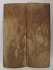 MAMMOTH IVORY SCALES     2-3/8 x 7/8 x 1/8