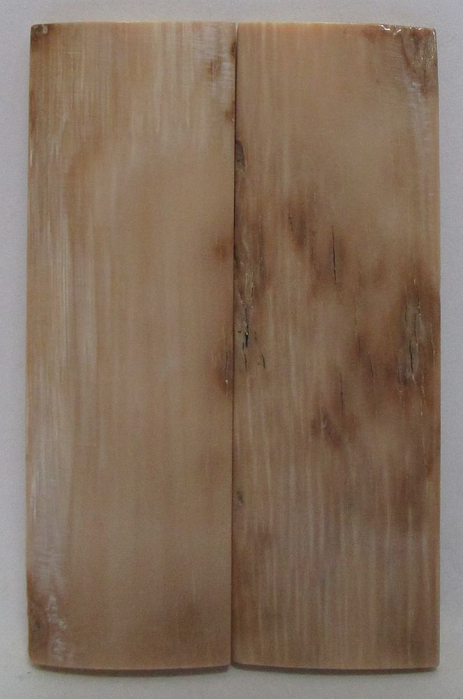 MAMMOTH IVORY SCALES 2-5/8 x 13/16 x 1/16