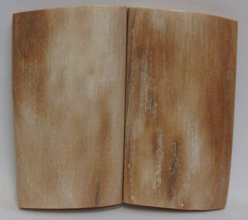 MAMMOTH IVORY SCALES 2-1/8 x 1-1/8 to 1-1/4 x 5/32