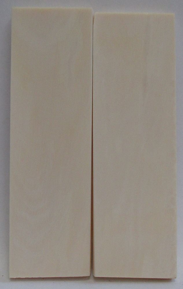INTERIOR IVORY 2-5/8 x 3/4 x 1/8