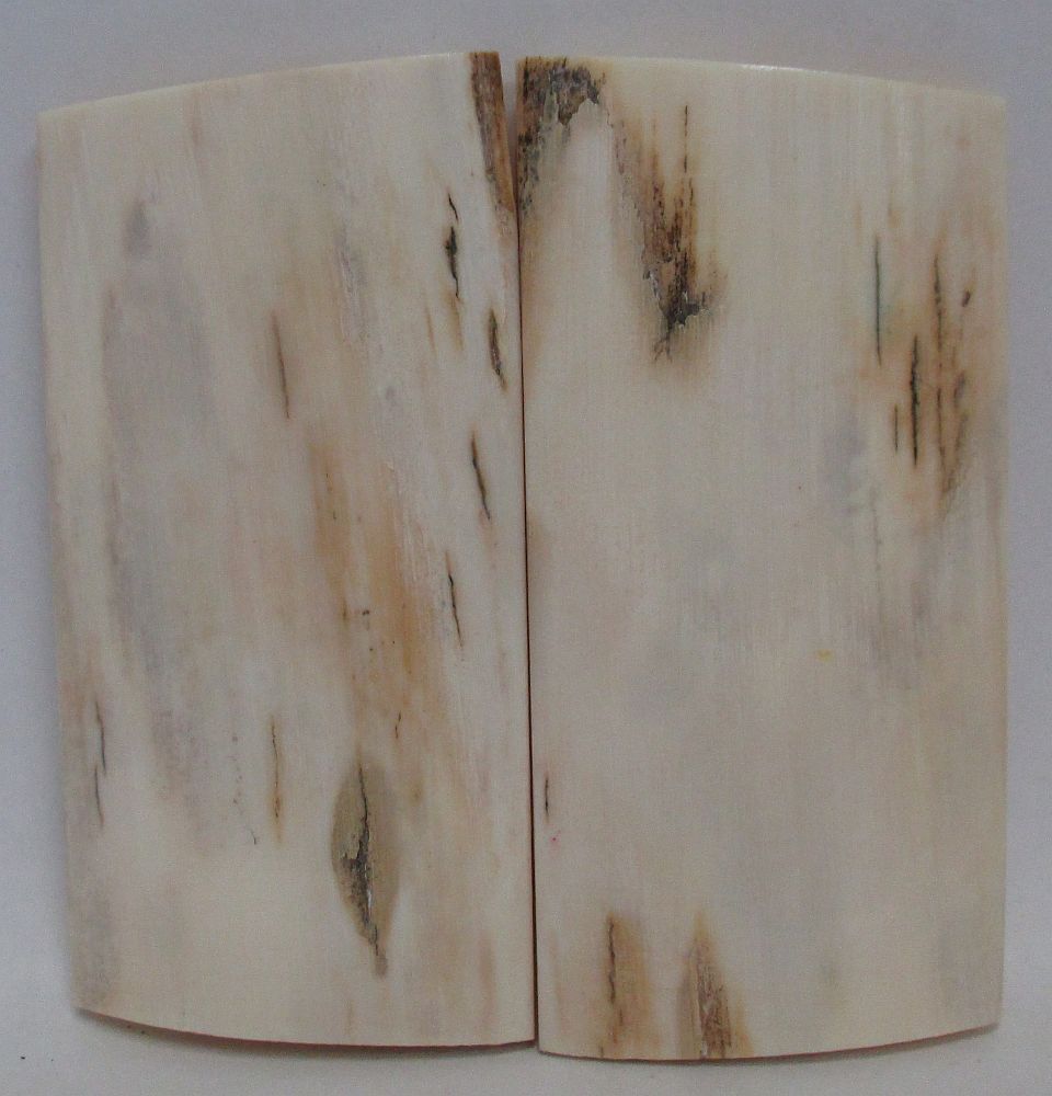 MAMMOTH IVORY SCALES 2-9/16 x 1-5/16 x 5/32