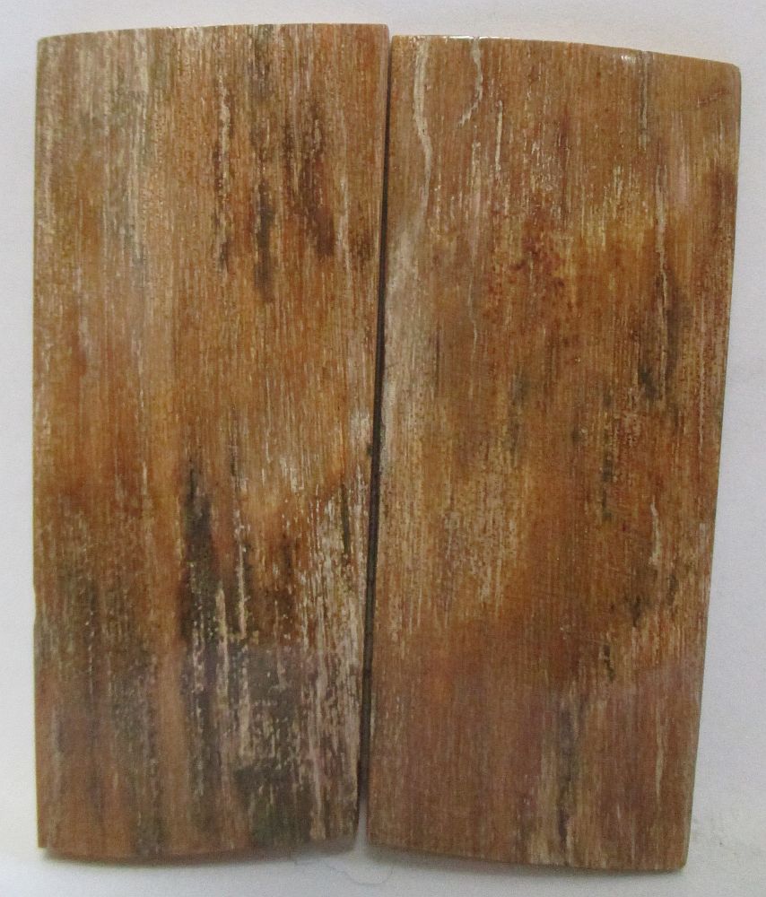 MAMMOTH IVORY SCALES 2-11/16 x 1-1/16 x 1/8 