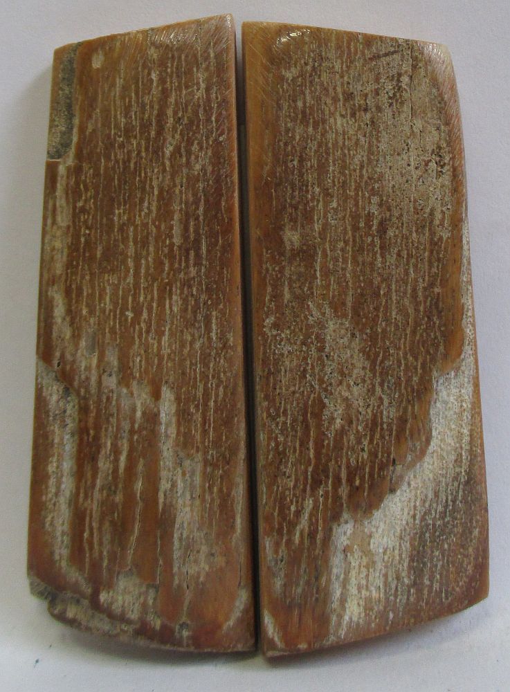 MAMMOTH IVORY SCALES 2-1/4 x 3/4 x 3/16