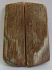 MAMMOTH IVORY SCALES 2-1/4 x 3/4 x 3/16