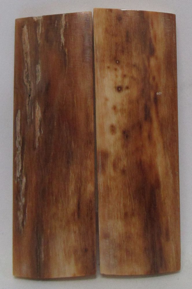MAMMOTH IVORY SCALES 2-1/4 x 11/16 x 1/8