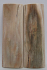 MAMMOTH IVORY SCALES 2-1/2 x 13/16 x 1/16