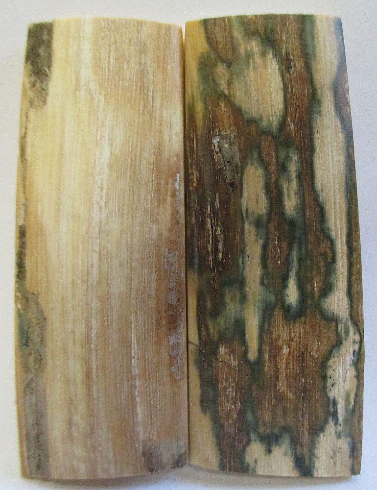 MAMMOTH IVORY SCALES 2-11/16 x 1 x 5/32