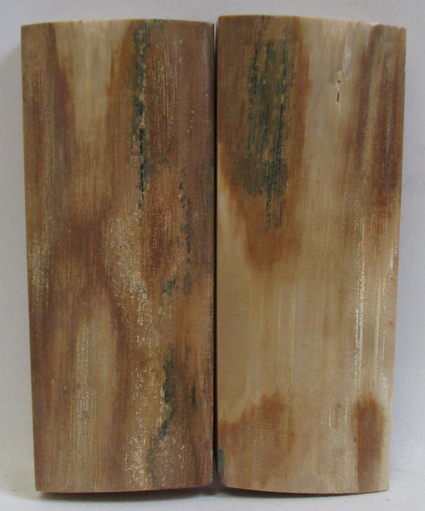 MAMMOTH IVORY SCALES 2-7/16 x 15/16 x 5/32