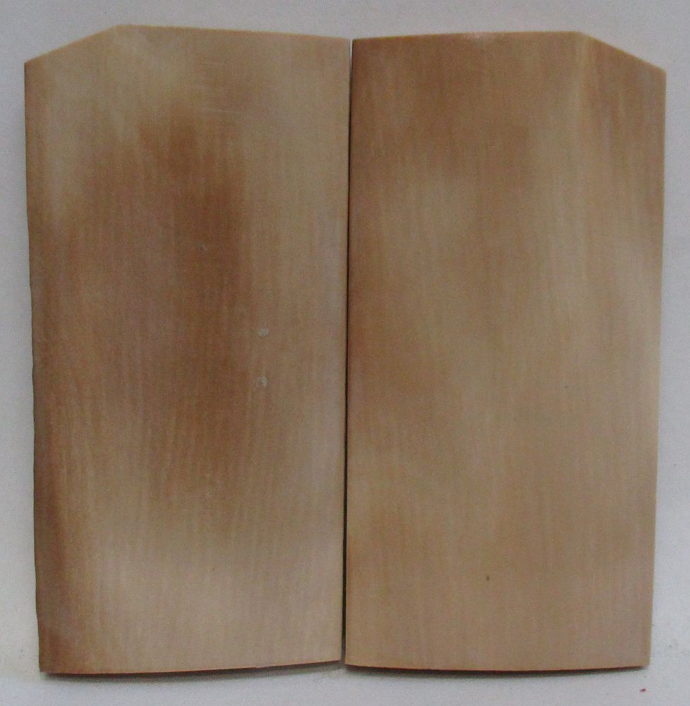 MAMMOTH IVORY SCALES 2-5/16 x 1-1/8 x 1/8