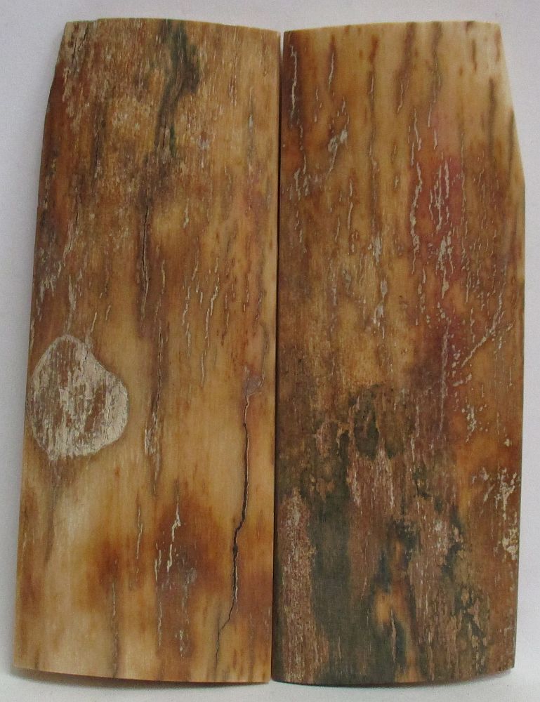 MAMMOTH IVORY SCALES 4-1/8 x 1-3/8 x 3/16 